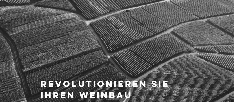 KCWein und Vineyard Cloud KCWein und Vineyard Cloud